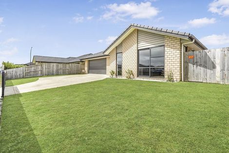 Photo of property in 217 Borman Road, Rototuna North, Hamilton, 3210