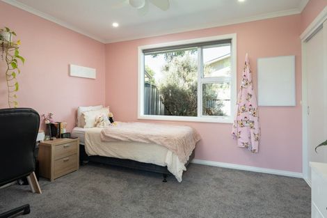 Photo of property in 271 Scott Street, Witherlea, Blenheim, 7201