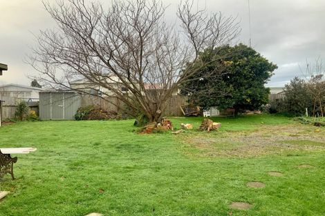 Photo of property in 5a Dudley Street, Levin, 5510