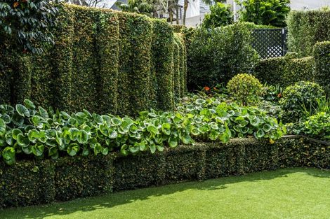 Photo of property in 24 Crescent Road, Parnell, Auckland, 1052