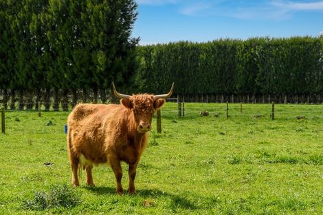Photo of property in 270 Matahui Road, Aongatete, Katikati, 3181