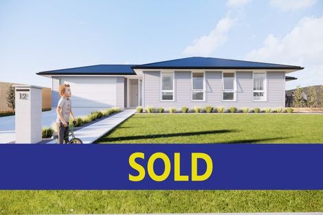 Photo of property in 12 Clendon Court, Pokeno, 2402