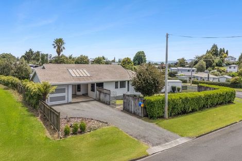 Photo of property in 36 Clothier Street, Putaruru, 3411