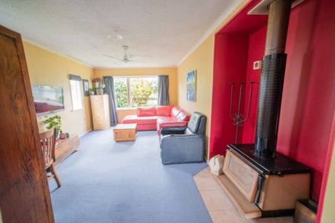 Photo of property in 17 Fastnet Street, Alexandra, 9320