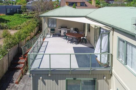 Photo of property in 43 Kaka Street, Taupo, 3330