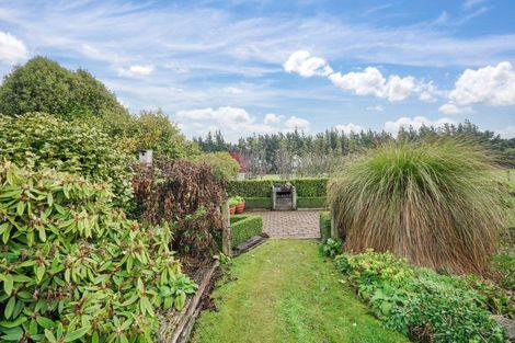 Photo of property in 398 Drysdale Road, Myross Bush, Invercargill, 9872
