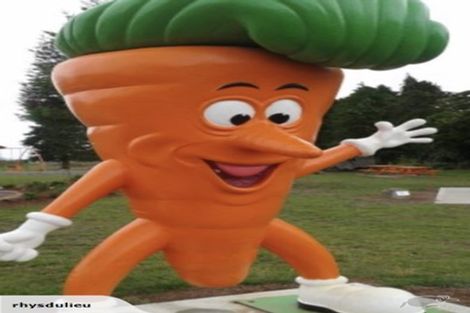 Photo of property in 41 Snowmass Drive, Ohakune, 4625