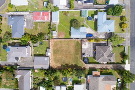 Photo of property in 17a Duke Street, Feilding, 4702