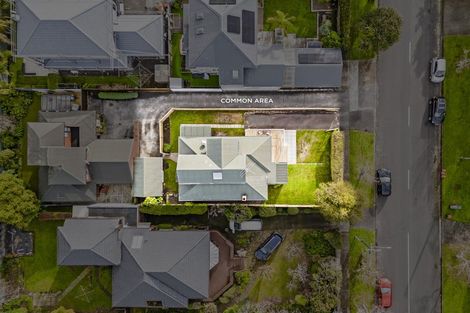 Photo of property in 13 Horotutu Road, Greenlane, Auckland, 1061