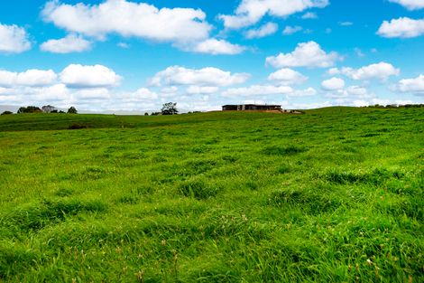 Photo of property in 175 Butchers Bridge Road, Otaua, Waiuku, 2683