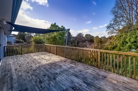 Photo of property in 110a Lewis Street, Glenview, Hamilton, 3206