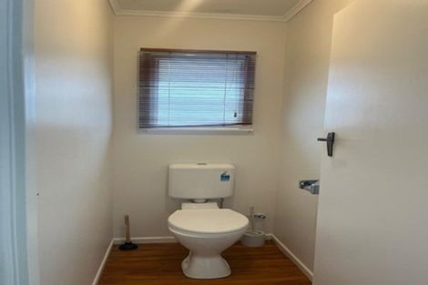 Photo of property in 125 Barrack Road, Mount Wellington, Auckland, 1060