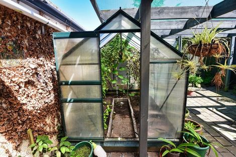 Photo of property in 64 Eton Street, Hampstead, Ashburton, 7700