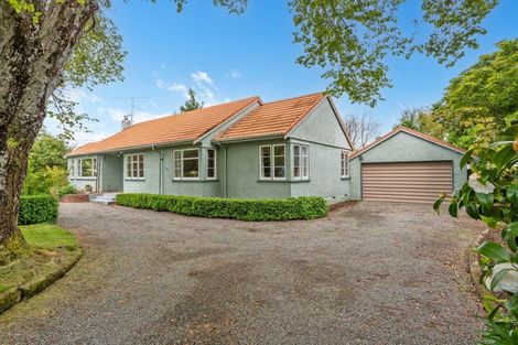 Photo of property in 117 Harley Street, Solway, Masterton, 5810