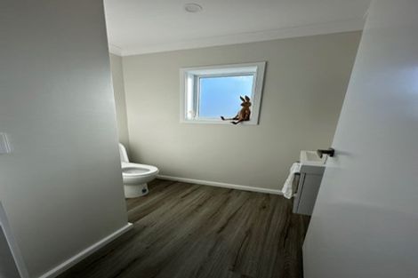 Photo of property in 158a John Burke Drive, Aotea, Porirua, 5024