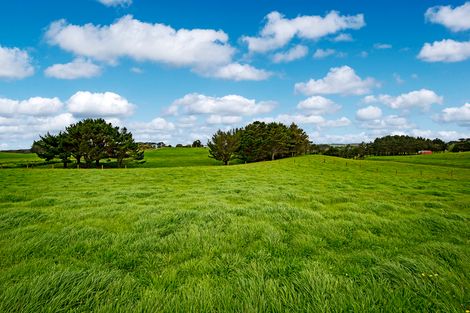 Photo of property in 175 Butchers Bridge Road, Otaua, Waiuku, 2683