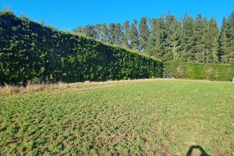 Photo of property in 480 Pesters Road, West Eyreton, 7475