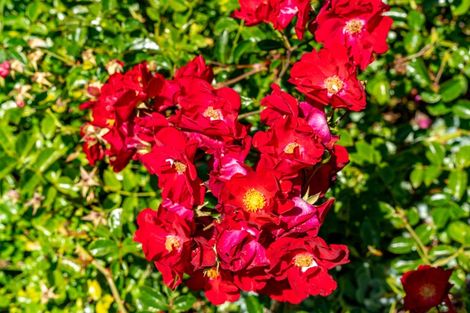 Photo of property in 32 Kingsford Drive, Stoke, Nelson, 7011