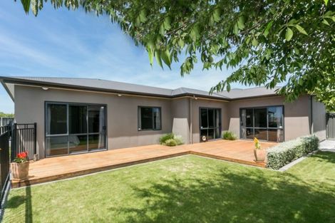 Photo of property in 14 Greenlea Place, Frimley, Hastings, 4120