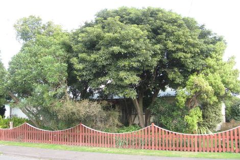 Photo of property in 113 Harlech Street, Mayfair, Hastings, 4122