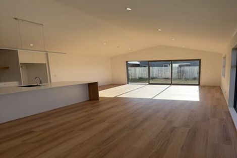 Photo of property in 44 Waikirikiri Avenue, Lincoln, 7608