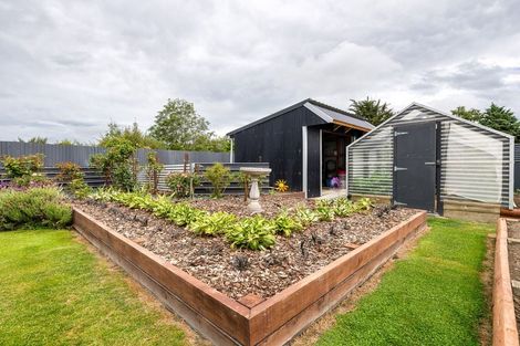 Photo of property in 3 Holmes Street, Waimate, 7924