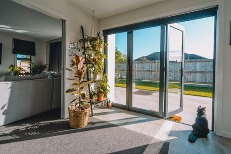 Photo of property in 3 Northbrook Court, Roslyn, Palmerston North, 4414