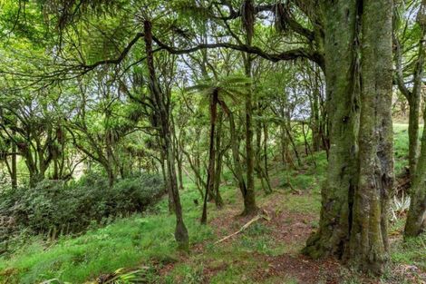 Photo of property in 379 Mangarino Road, Hangatiki, Te Kuiti, 3986