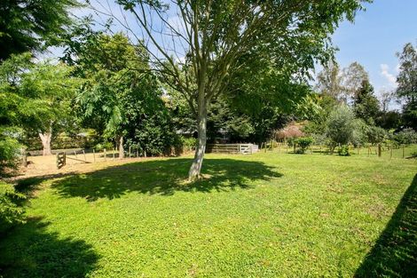 Photo of property in 5 Murray Street, Leamington, Cambridge, 3432