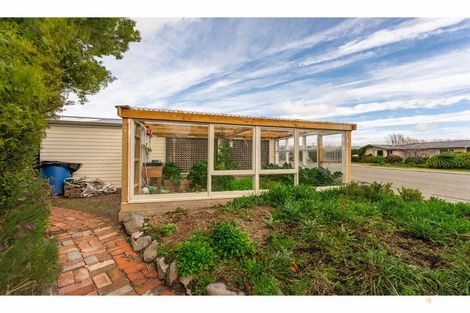 Photo of property in 38 Augustine Street, Waimate, 7924