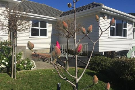 Photo of property in 41 Larsen Crescent, Tawa, Wellington, 5028