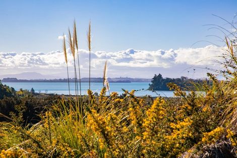 Photo of property in 44 Saint Pauls Drive, Brookfield, Tauranga, 3110