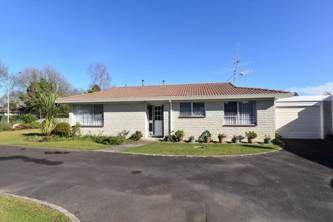 Photo of property in 229a Clarkin Road, Fairfield, Hamilton, 3214