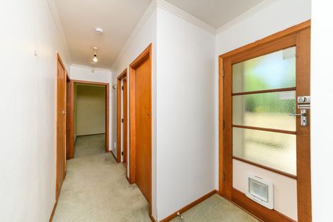 Photo of property in 26 Snowdon Avenue, Terrace End, Palmerston North, 4410