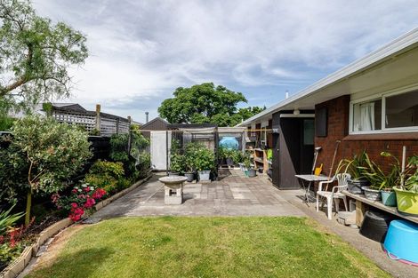 Photo of property in 19 Te Punga Place, Awapuni, Palmerston North, 4412