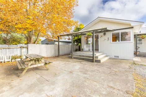 Photo of property in 38 Francis Drake Street, Waipukurau, 4200