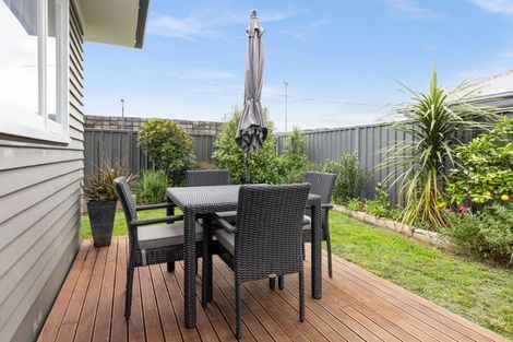 Photo of property in 99a Kenilworth Road, Mayfair, Hastings, 4122