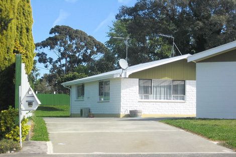 Photo of property in 55 Leefield Street, Blenheim, 7201
