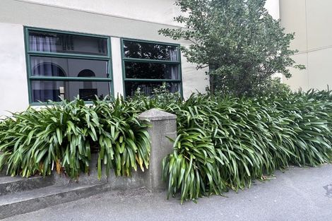 Photo of property in Te Awhina Apartments, 19/22 Sussex Street, Mount Cook, Wellington, 6021