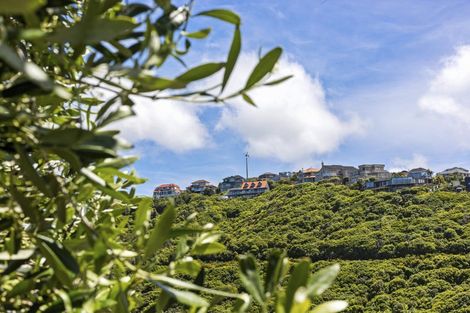 Photo of property in 161 Karepa Street, Brooklyn, Wellington, 6021