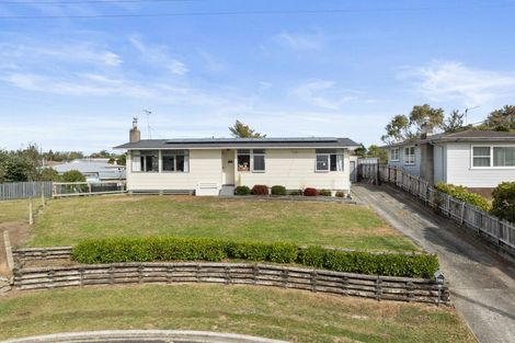 Photo of property in 12 Tee Street, Putaruru, 3411