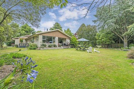 Photo of property in 169 Gartys Road, Leithfield, Amberley, 7481