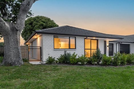 Photo of property in 1 Catherine Lane, Levin, 5510