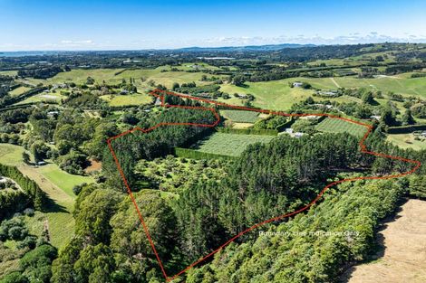 Photo of property in 168 Youngson Road, Whakamarama, Tauranga, 3179