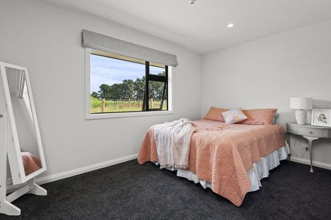 Photo of property in 569 Taonui Road, Colyton, Feilding, 4775