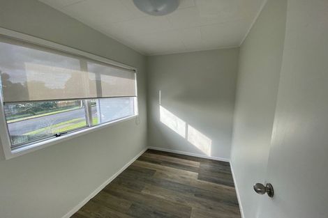 Photo of property in 4 Pureora Place, Clendon Park, Auckland, 2103