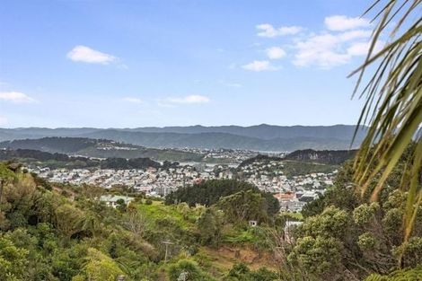 Photo of property in 100 Farnham Street, Mornington, Wellington, 6021