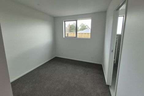 Photo of property in 38 Derbridge Street, Woodend, 7610