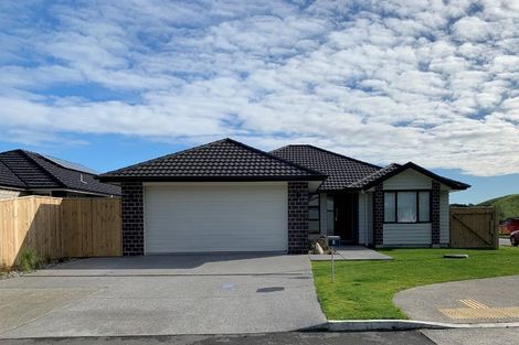 Photo of property in 8 Tapuhikura Street, Waikanae, 5036