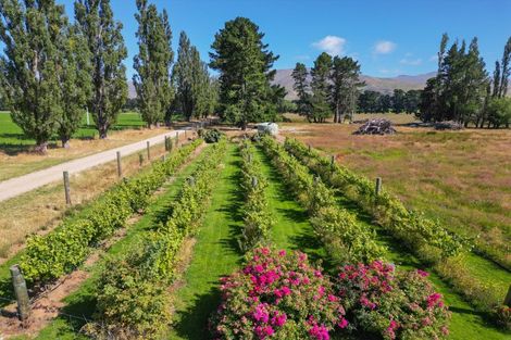 Photo of property in 359 Glassford Road, Drybread, Omakau, 9376